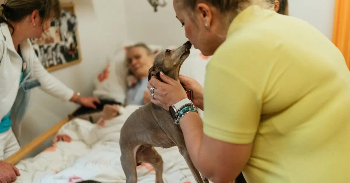 Understanding the Role of Family in Home Nursing Care